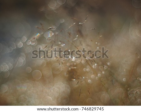 Similar – Image, Stock Photo lawn edge Exterior shot