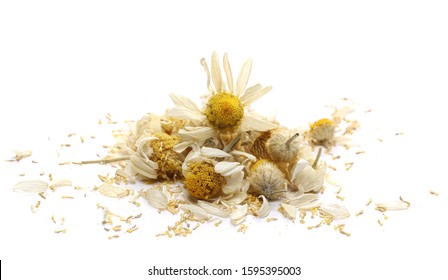 Dry chamomile flower petals isolated on white background