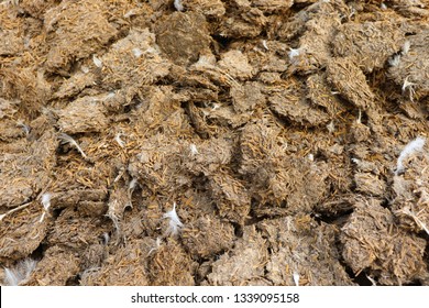 Dry Chicken Dung Manure Organic Fertilizer In Checken Farm.