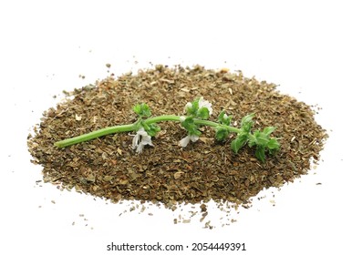 Dry Chopped Basil And Fresh Basil Flower With Green Leaves Isolated On White Background