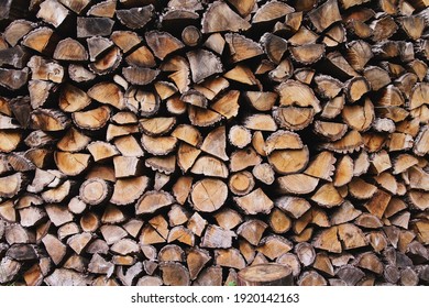 Dry chopped firewood logs. Wooden pile texture. Log background. 