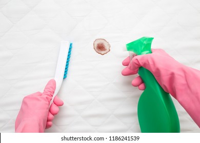 Dry Cleaner's Employee Hands In Rubber Protective Gloves Removing Fresh Or Old Blood Stain From White Mattress With Cleanser And Brush. Commercial Cleaning Company. Point Of View Shot.