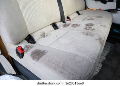 Dry Cleaning Machine. Footprints Of A Dog In The Seat. Dirty Paws. Car Wash.