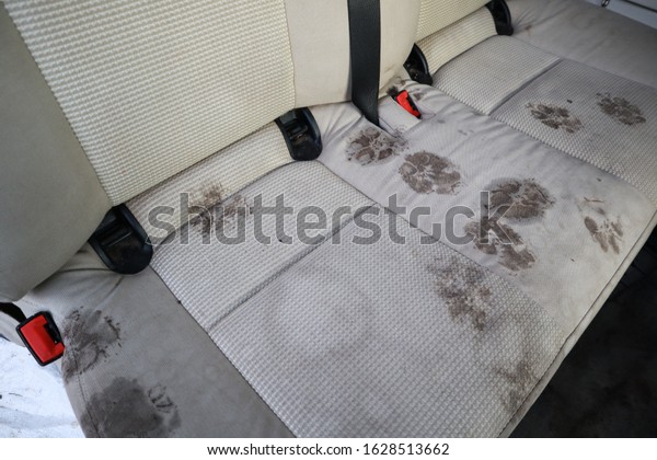 Dry cleaning machine. Footprints of a dog in the\
seat. Dirty paws. Car wash.