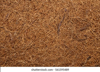 Dry coconut fiber, for backgrounds or textures