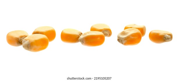 Dry corn kernels for popcorn isolated on white background. Corn grain isolated on white background. Dry yellow corn seeds isolated on white background. - Shutterstock ID 2195105207