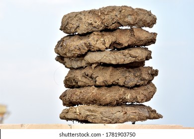 Dry Cow Dung Cakes For Hawan Kund . Dung Cake On Outdoor Background. Dung Cake For Dhup. Product Photography