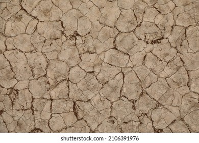 Dry Cracked Brown Mud During Drought