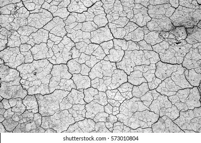 Dry, Cracked Earth