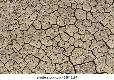 Dry Cracked Earth