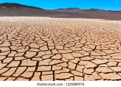 Dry cracked earth, Atacama, Chile