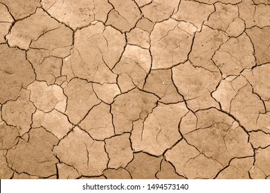 Dry cracked earth as a background close-up. Environmental disaster. Drought. - Shutterstock ID 1494573140