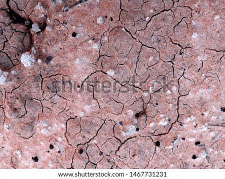 Dry cracked earth background, The Environment drought