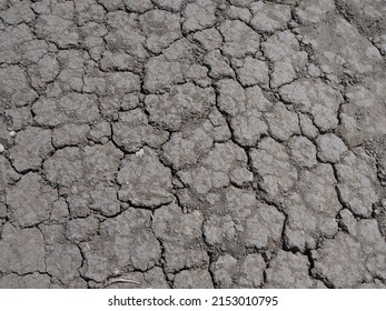 Dry cracked earth, parched land, Earth dirt texture background of brown mud, arid soil, Dry cracked earth texture, cracked earth, Dry mud, broken texture, desert, Global Warming, Climate Change.