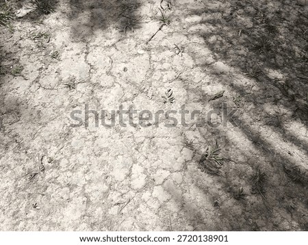 A dry cracked earth surface with sparse grass and shadows cast on rough terrain showcasing natural outdoor landscape.