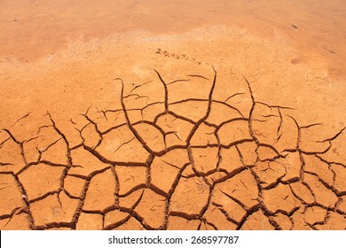 Dry Cracked Earth Texture