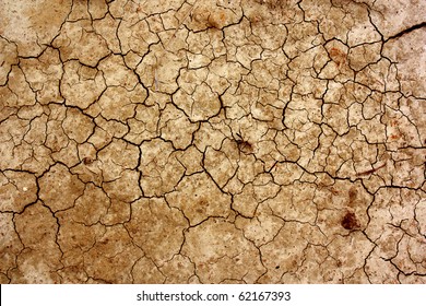 Dry Cracked Earth Texture