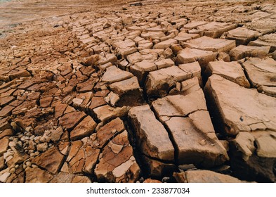 Naked Human Barefeet On Dry Soil Stock Photo Shutterstock