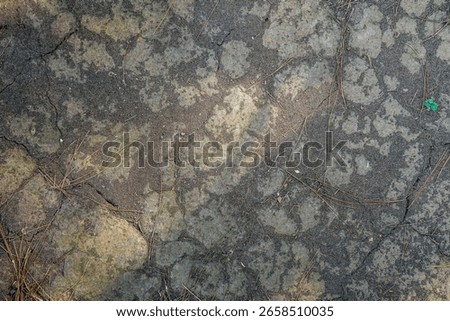 The dry, cracked ground surface indicates drought or lack of moisture. However, there are signs of life in the form of moss or small plants struggling to grow between the cracks.