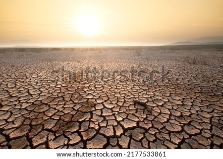 Dry cracked land due lack of rain at Lake in Chiang Mai, Thailand. an impact of climate change and Drought. [[stock_photo]] © 