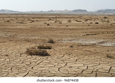 631 Torrid Climate Images, Stock Photos & Vectors | Shutterstock