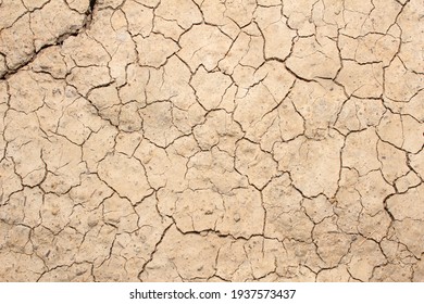 Dry cracked soil texture and background of ground - Powered by Shutterstock