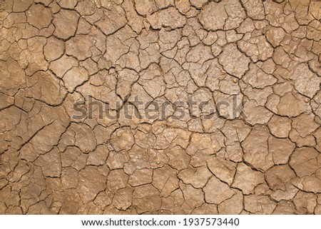 Dry cracked soil texture and background of ground