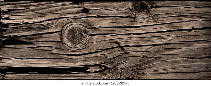 Dry Cracked Wood Texture Tree Section. Heavy Wooden Natural Beam