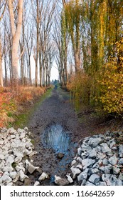 Dry Creek Bed