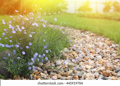 Dry Creek Bed