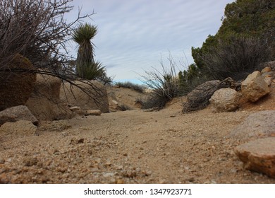 A Dry Creek Bed In The Desert. 