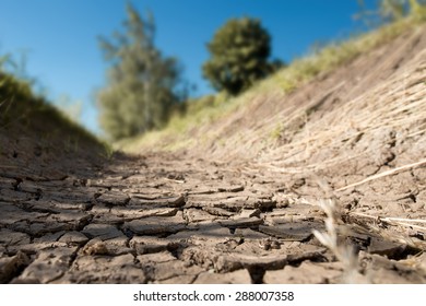 A Dry Creek Bed In The Hot Summer