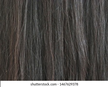 Dry And Damaged Hair In Asian Woman Use For Shampoo Product Concept.