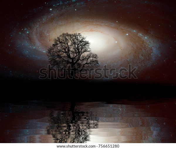Dry dead tree alone without leaves on dramatic\
dark sky background and galaxy reflects on water  \