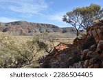 dry and desert valley of Ormiston Gorges in West-McDonnell National Park
