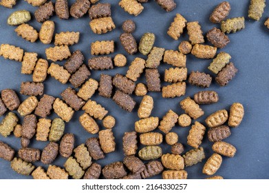 Dry Dog Food Against A Gray Background. Oval-shaped Pellets Lie Randomly On The Surface. The Pellets Are Brown, Beige, And Green. Flatlay.