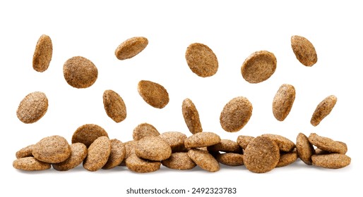 Dry dog food falling on a pile close-up. Isolated