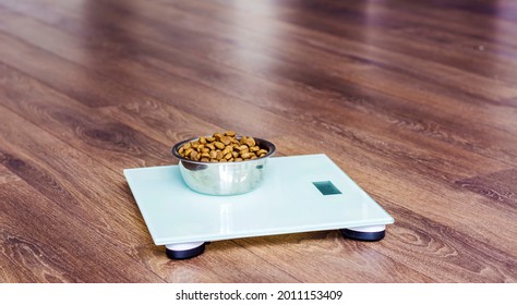 Dry Dog Food On Weigh Scale .Animals Dieting Concept 