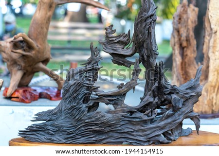 Dry driftwood of coniferous tree, old weathered relief wood