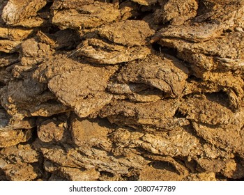 Dry Dung Fuel Dry Manure Fuel Stock Photo 2080747789 | Shutterstock