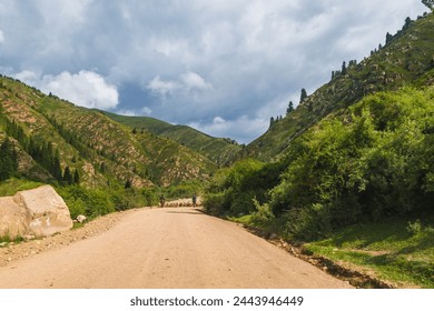 Dry dusty dirt road winding through valley with mountains, two shepherds lead a flock of sheep along the road at sunny day. - Powered by Shutterstock