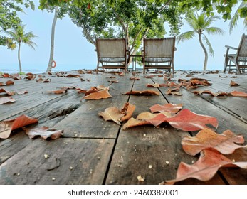 Dry fallen leaves on a wooden deck by the beach with beach chairs in the background. - Powered by Shutterstock