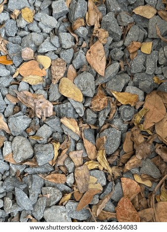 Dry fallen leaves scattered over a bed of rough gray stones. Natural background with autumn tones and organic texture. Suitable for nature, seasons, or environmental themes
