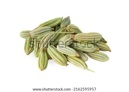 Dry fennel seeds isolated on white background. Green fennel macro. Fennel grains.