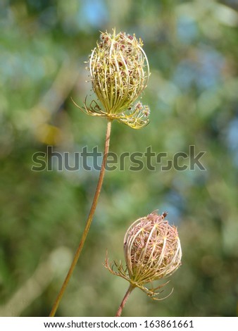 Image, Stock Photo And once again the three friends…