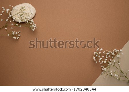 Dry flower branch and stone on a light brown background. Trend, minimal concept with copyspace top view