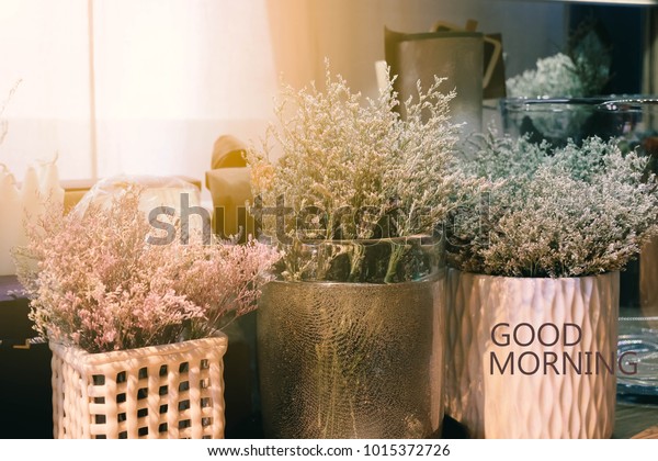 Dry Flower Pot By Window Morning Stock Photo Edit Now 1015372726