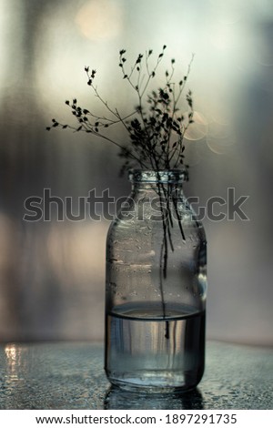 Similar – fingerprint Vase Esthetic