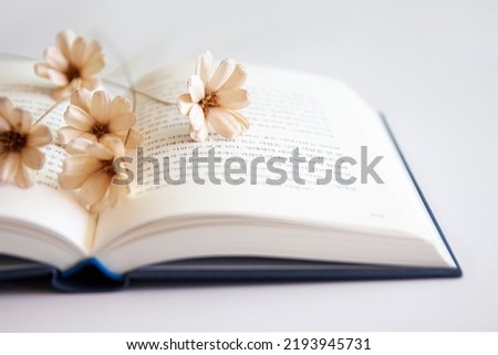 Dry flowers lying on an open book. Selective focus.