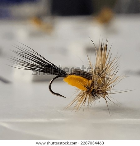 Dry Fly called the Yellow Humpy.  This is a fly used for fly fishing.